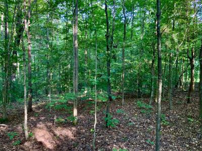 0 Pleasant Hill Road