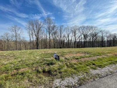 0 Meadowview Ln
