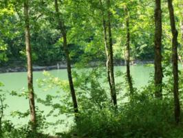 0 .51Hiawassee Lane Lot 27 