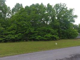 39 Caldwell Dr.