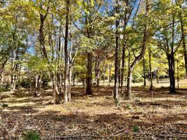 0 N Scenic Shore Dr