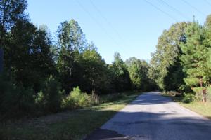 0 Anglin Ridge Road