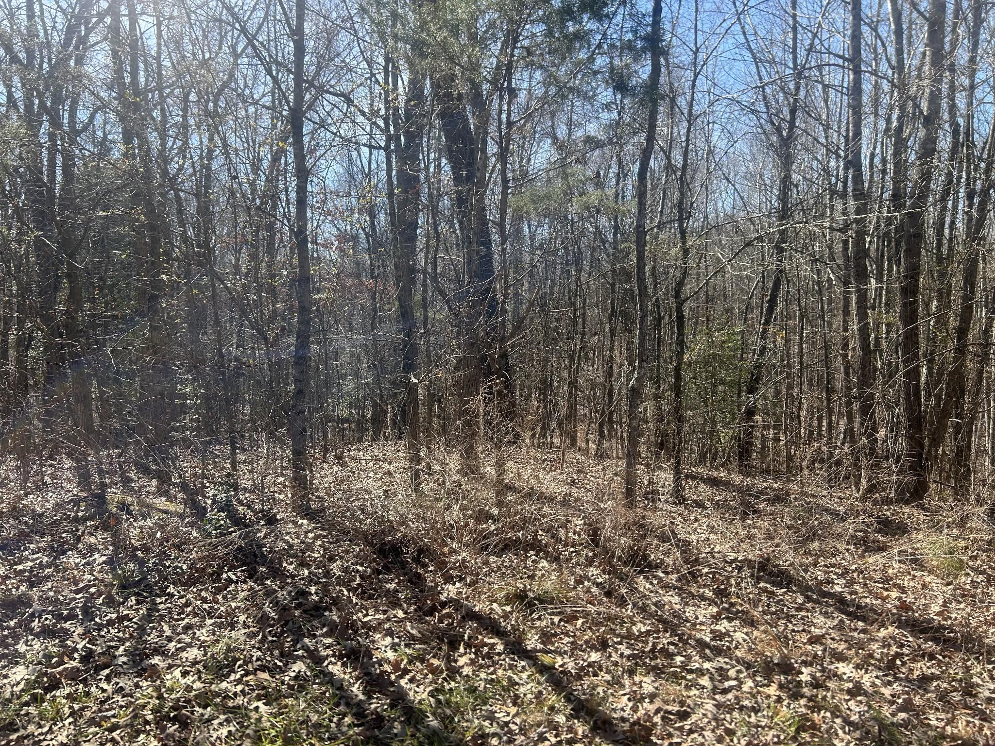Image 1 Image 1