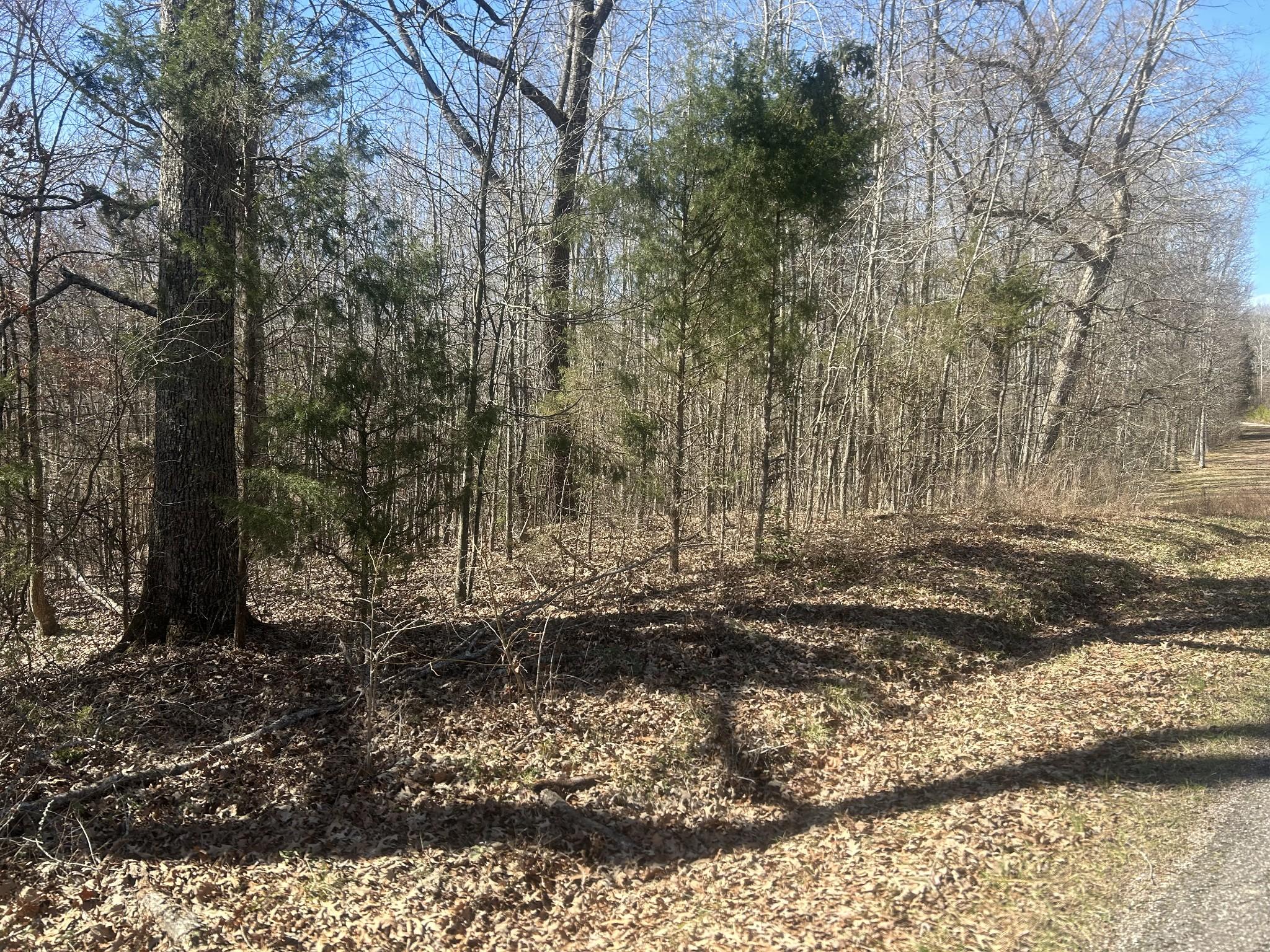 Image 3 Image 3