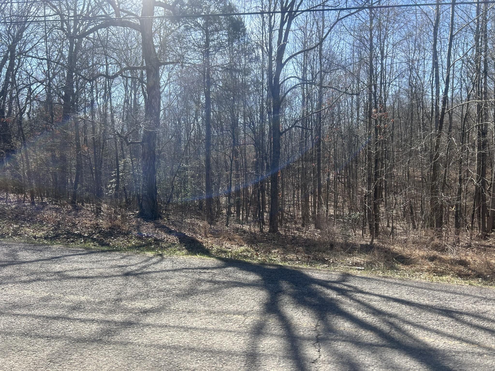 Image 4 Image 4