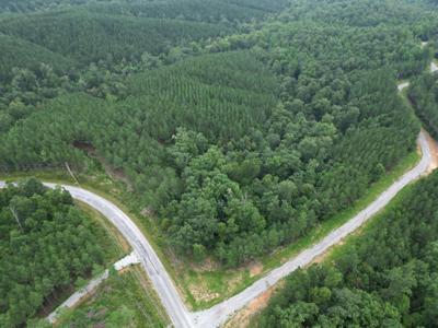 0 Old Hohenwald Rd