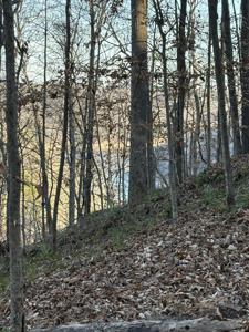 0 Mountain Lake Lane