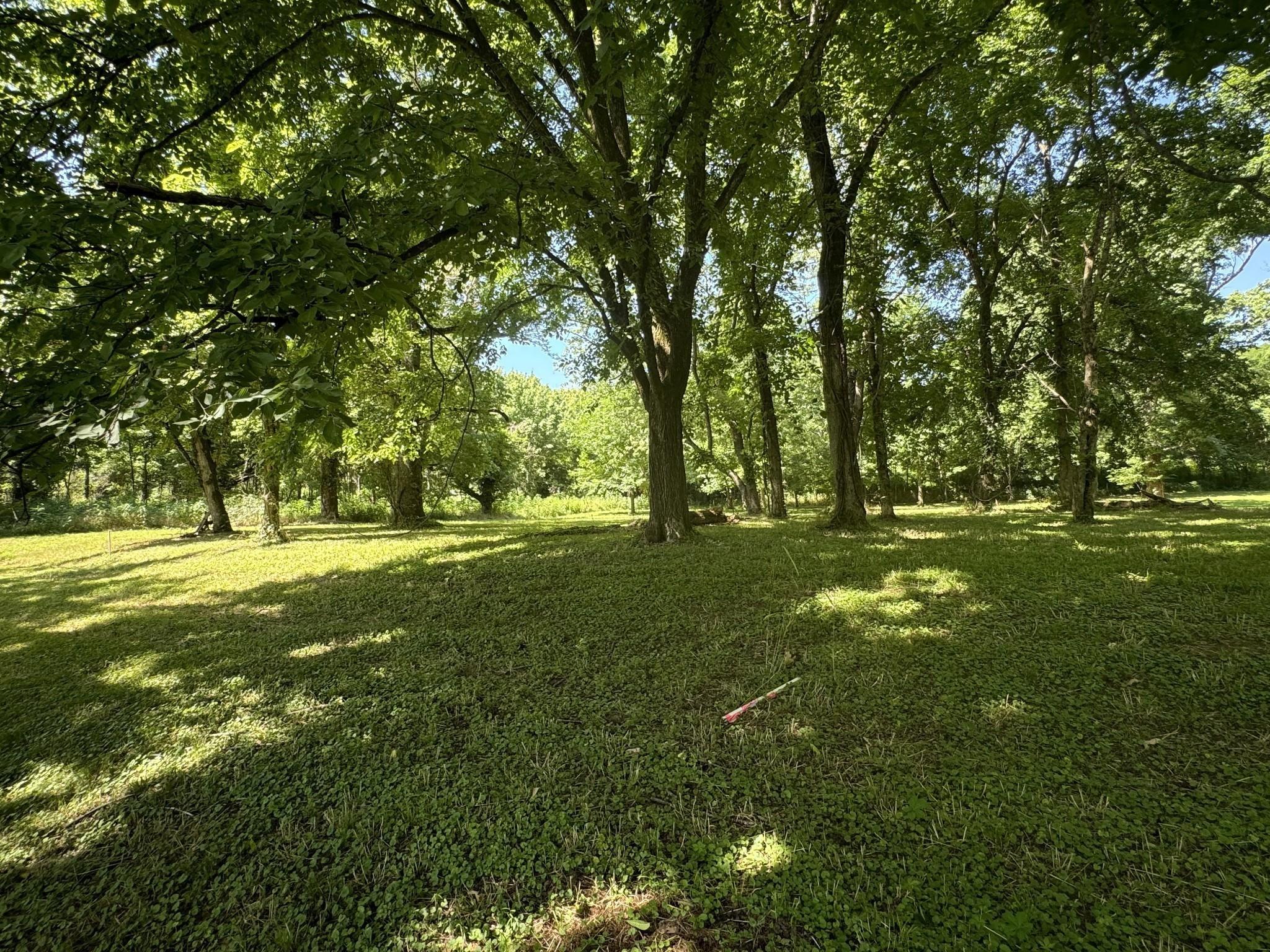 Image 1 Image 1