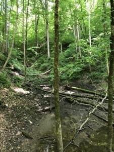 0 Tranquility Dr