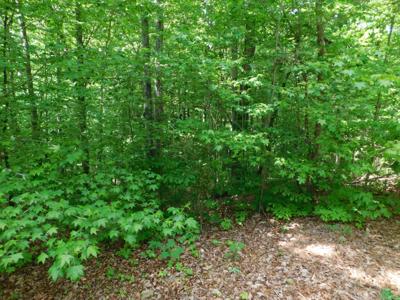 0 Woodcrest Dr