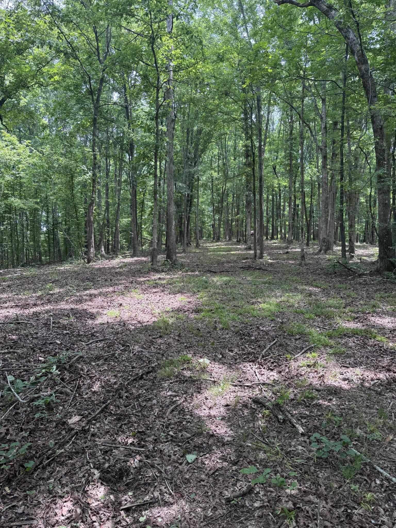 Image 3 Image 3