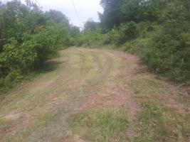 71 Sullivans Bend Rd