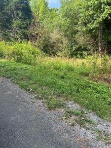 138 Trace Ln
