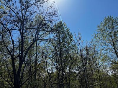 0 Shores Trail