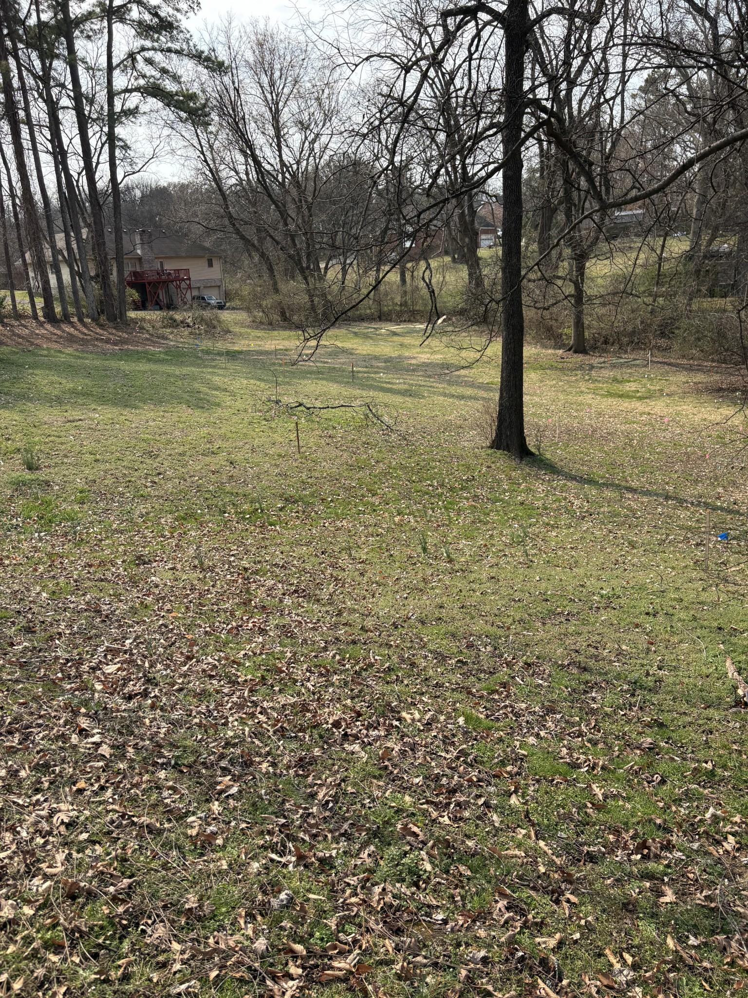 Image 3 Image 3