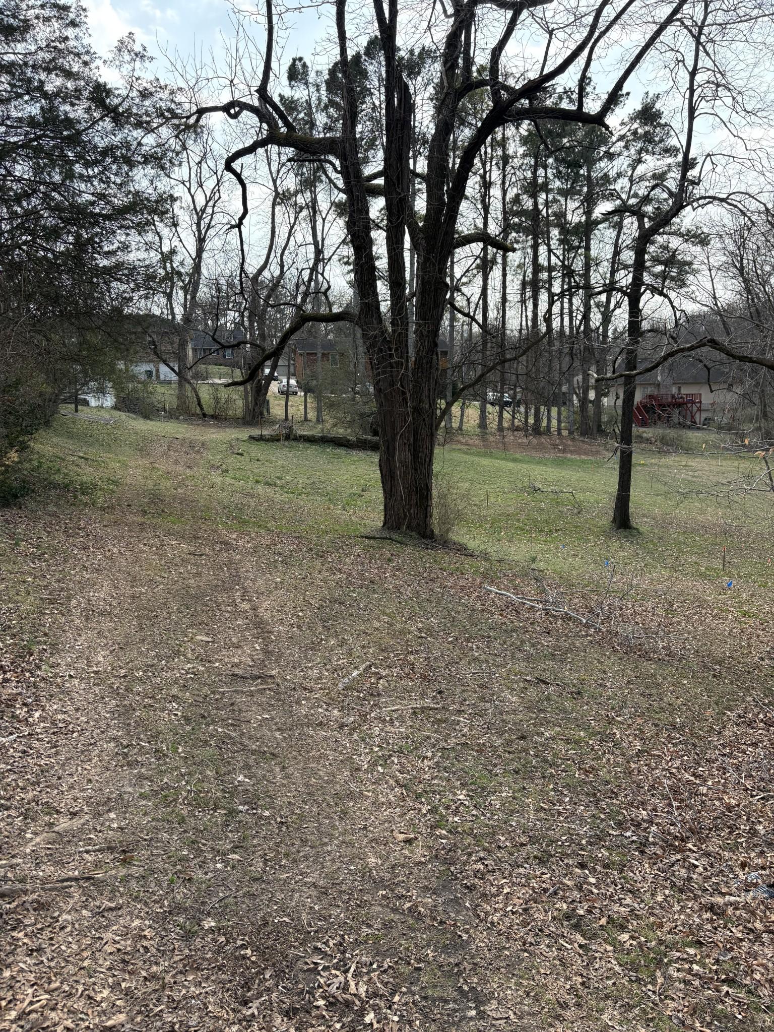 Image 4 Image 4