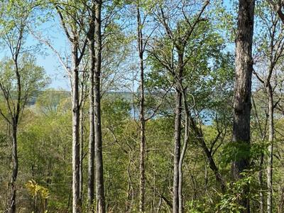 74 Overlook Trail