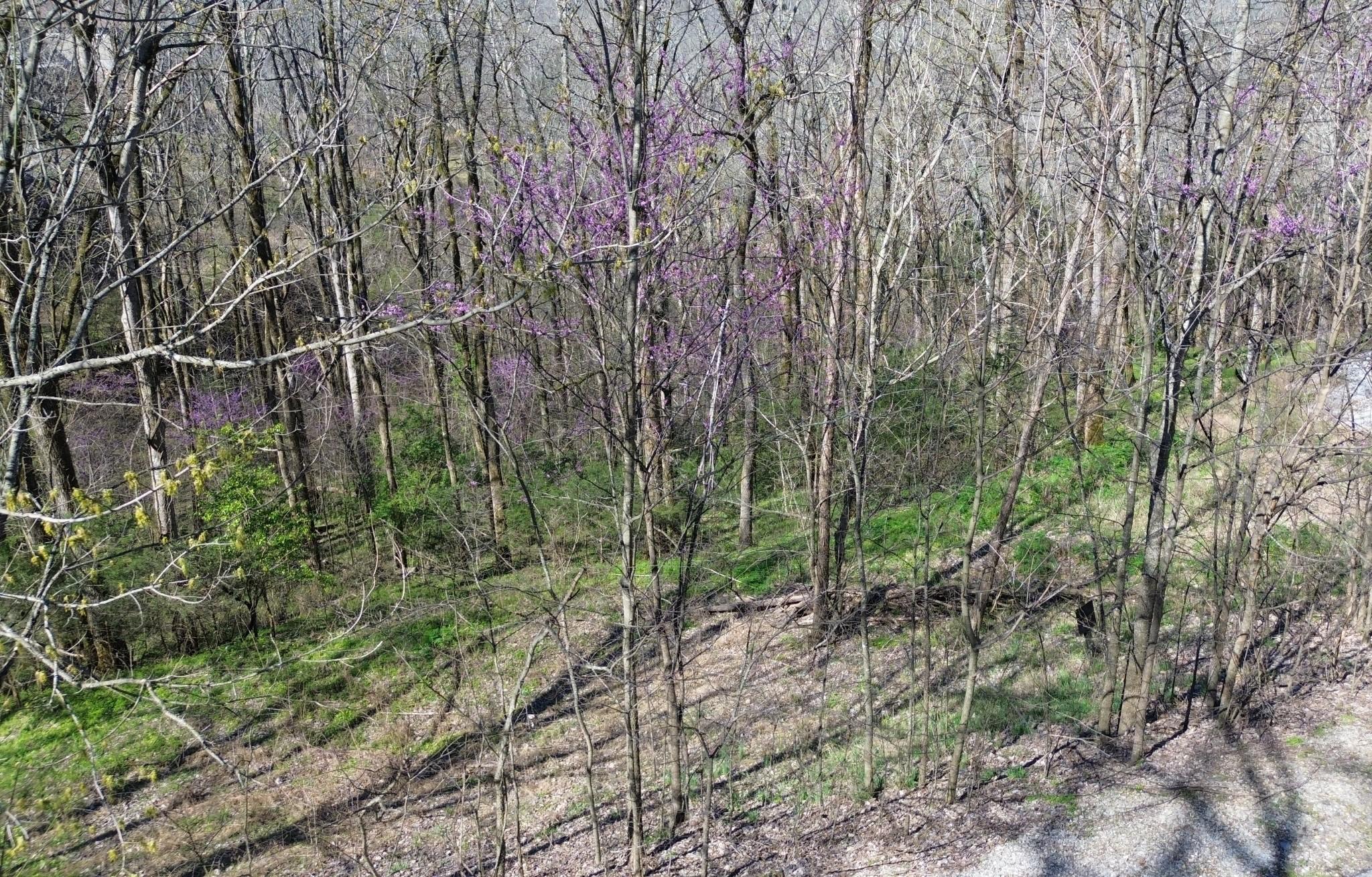 Image 3 Image 3