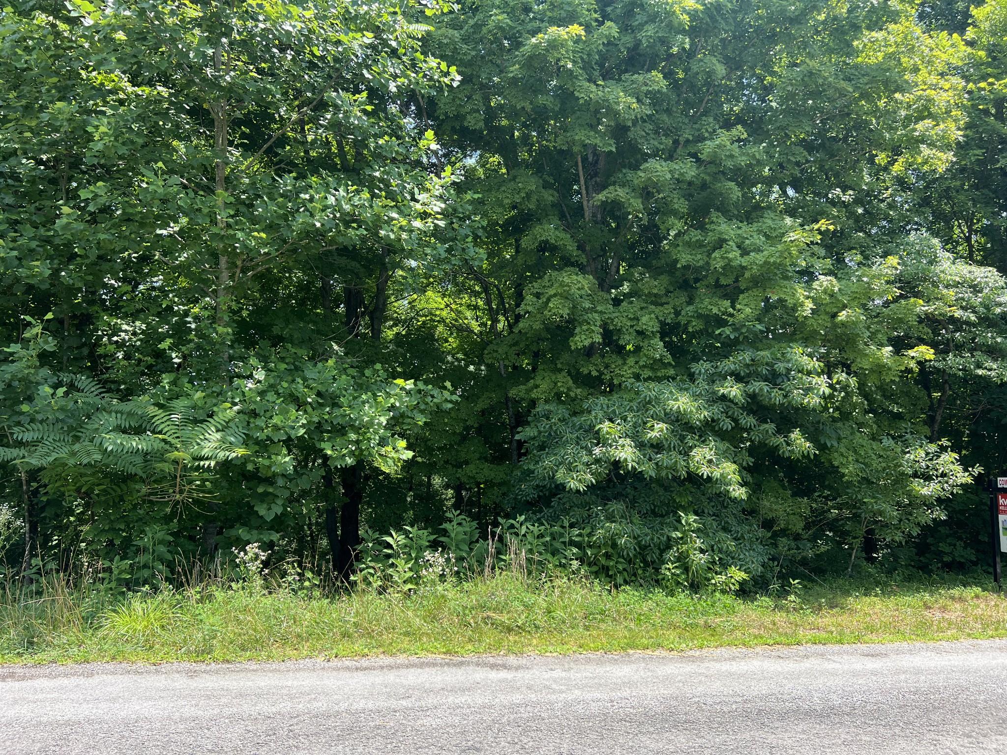 Image 4 Image 4