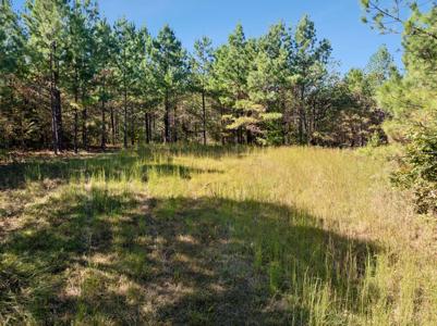0 Cox Hollow Lot 43A & 43B