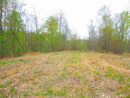 15 .63ac Pleasant Cemetery Rd 