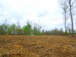 31 .49ac Pleasant Cemetery Rd 