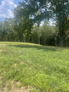 0 Summerlake Ct