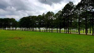 0 Dry Fork Rd.
