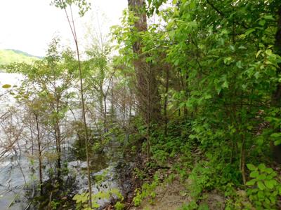 0 Shoreside Dr