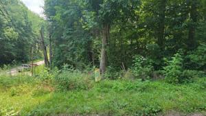 0 Oak Dr