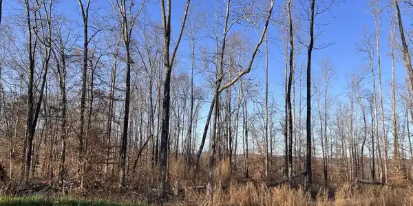 Image 4 Image 4