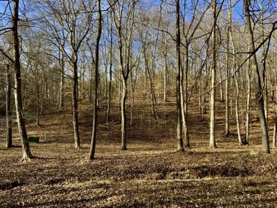 0 Forrest Crossing