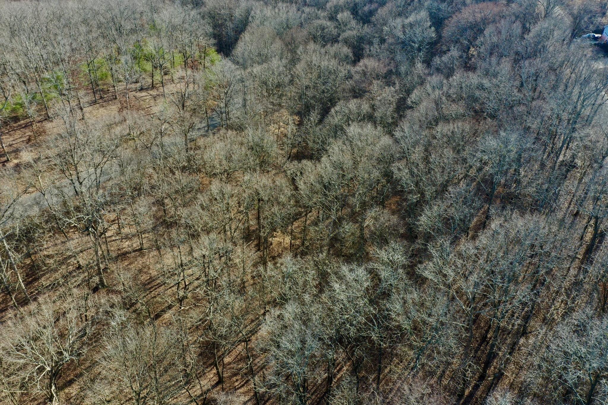 Image 3 Image 3