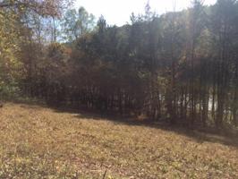 0 Long Hollow Lane