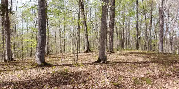 Image 2 Image 2