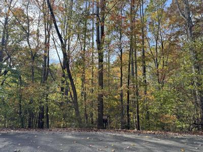 0 Woodcrest Dr
