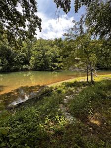 238 Texas Bottom Ln