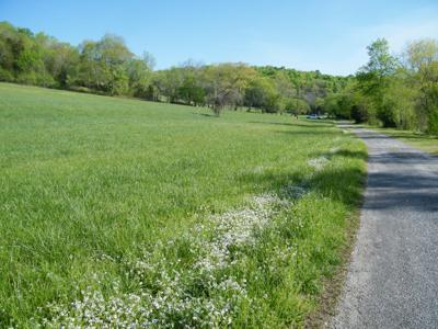 0 Beasley Hollow Lane
