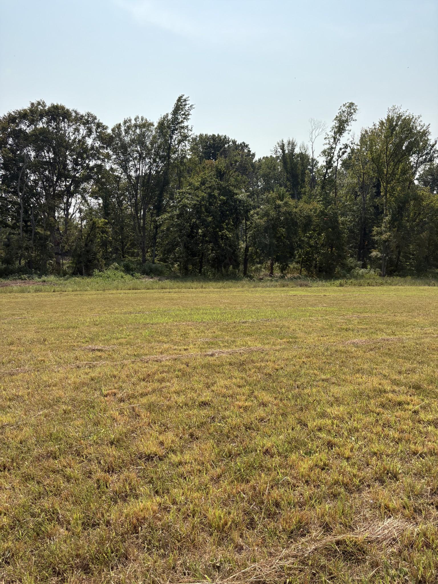 Image 3 Image 3