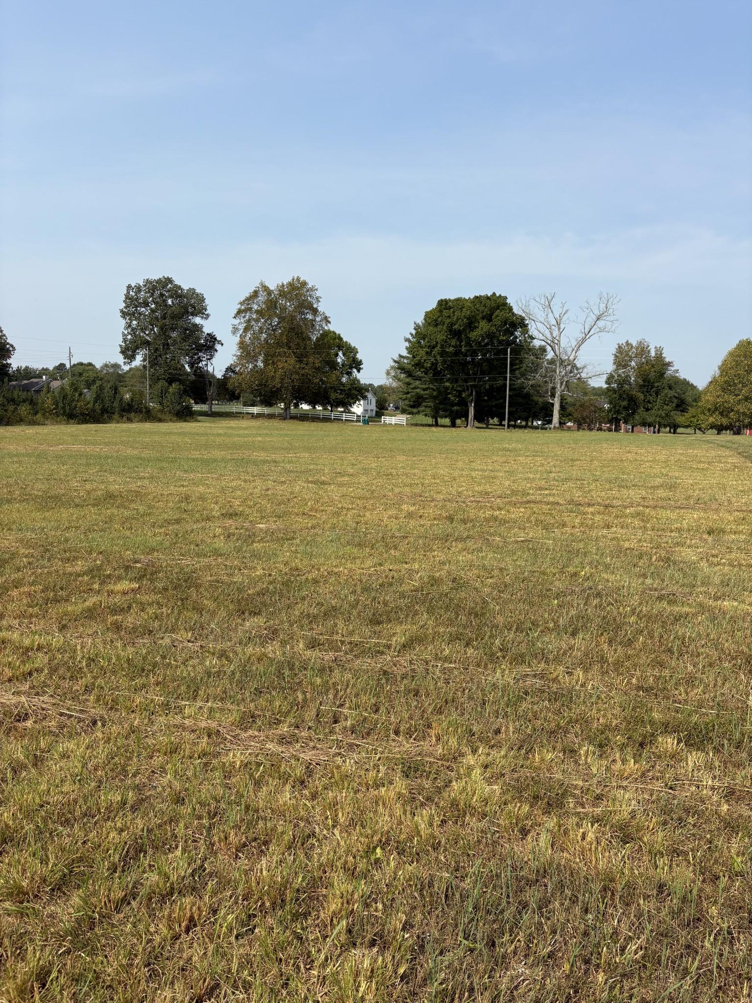 Image 4 Image 4