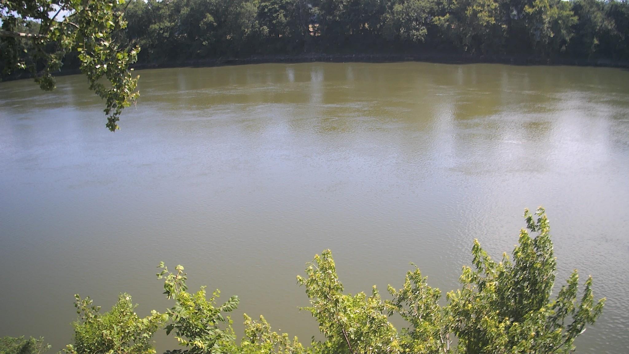 Image 4 Image 4