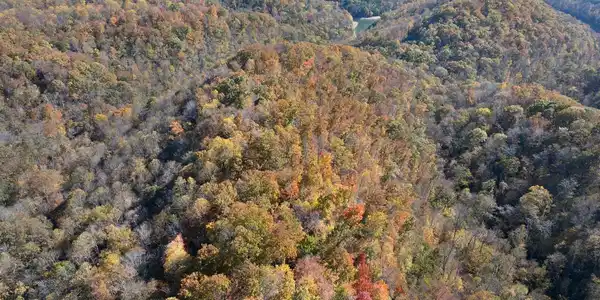 Image 4 Image 4