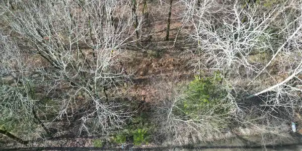 Image 2 Image 2
