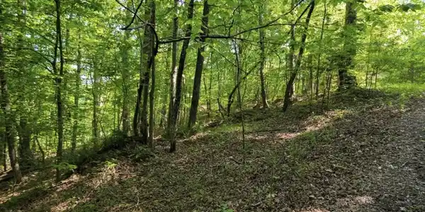 Image 2 Image 2