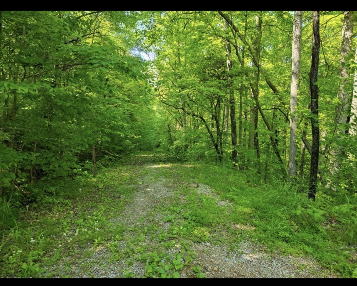 Image 4 Image 4