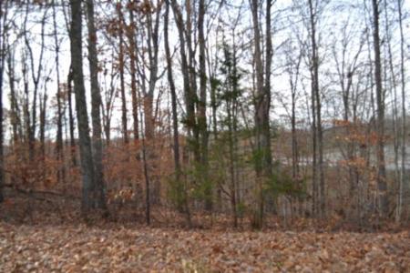 0 Wet Mill Creek Rd