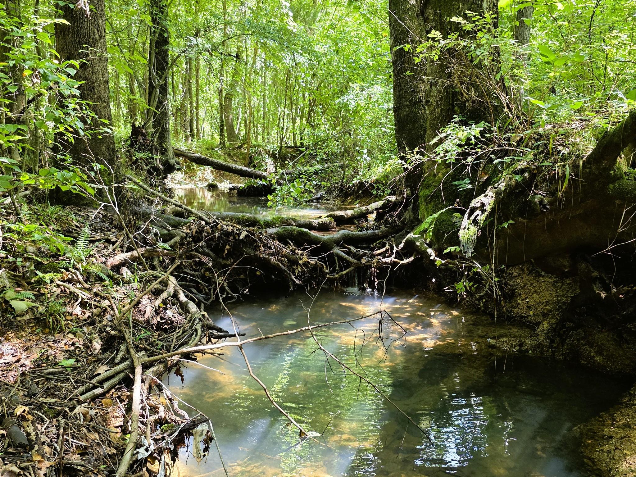 Image 4 Image 4
