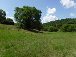 32 .65ac Duke Hollow Ln