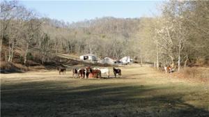 82 Grisham Hollow Ln