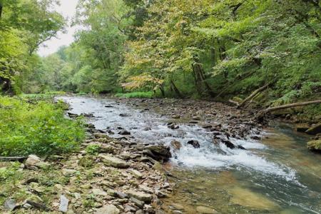 1045 Jones Mill Rd
